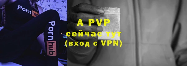 скорость Бородино