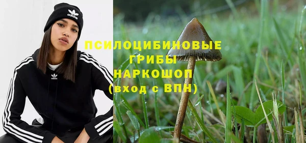 крисы Верея