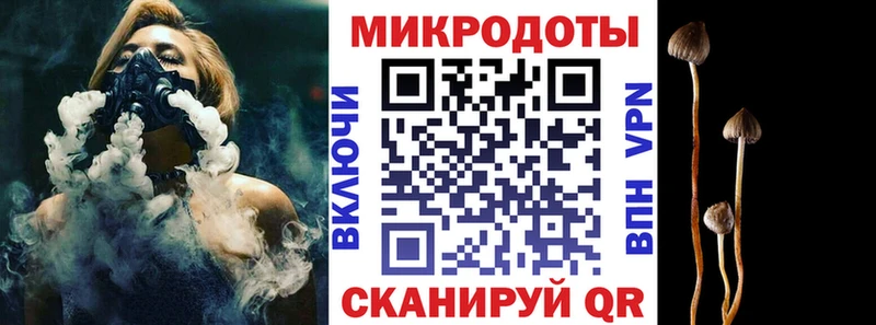 Купить  Никольск  Псилоцибиновые грибы Psilocybe 